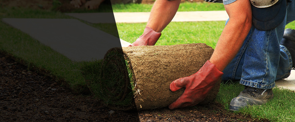 Ridgewood Landscapers